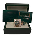 Rolex Datejust 36 Green Floral Dial 