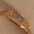 Cartier Panthere Small Model 