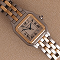 Cartier Panthere Large Model 2-row 