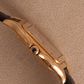 Cartier Panthere Large Model Folding clasp 