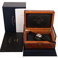 Franck Muller Master Calendar Magnum Chrono (W.Gold) 