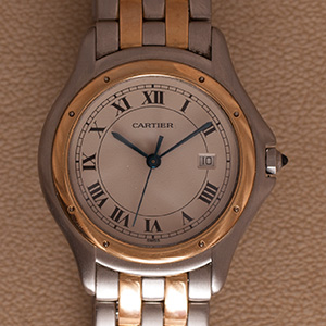 Cartier Panthere Cougar Large Model 