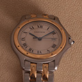 Cartier Panthere Cougar Large Model 