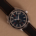 Omega Planet Ocean Co-Axial 