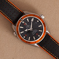 Omega Seamaster Planet Ocean 