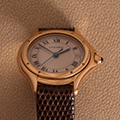 Cartier Panthere Cougar Ladies Model 