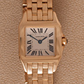 Cartier Santos Demoiselle Panthere Ladies 