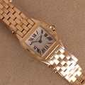 Cartier Santos Demoiselle Panthere Ladies 