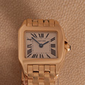 Cartier Santos Demoiselle Panthere Ladies 