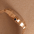 Cartier Santos Demoiselle Panthere Ladies 