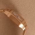Cartier Santos Demoiselle Panthere Ladies 