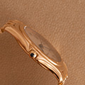 Cartier Panthere Cougar Large Model 