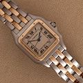 Cartier Panthere Large Model 2-row 