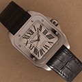 Cartier Santos 100 Medium 