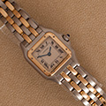 Cartier Panthere Ladies 2-row 