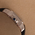 Cartier Santos 100 Medium 