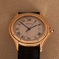 Cartier Panthere Cougar Large Model 