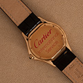 Cartier Panthere Cougar Large Model 