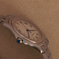 Cartier Panthere Cougar Large Model 