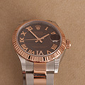 Rolex Datejust 31 Chocolate dial with diamonds 