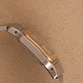 Cartier Santos Galbee PM 