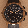 IWC Aquatimer Charles Darwin Bronze 