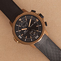 IWC Aquatimer Charles Darwin Bronze 