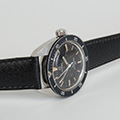 Omega Seamaster Diver 120 