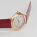 Cartier Panthere Cougar Large Model 