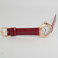 Cartier Panthere Cougar Large Model 