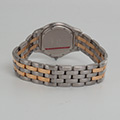 Cartier Panthere Cougar Large Model 