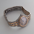 Cartier Panthere Cougar Small Model 