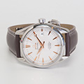 Omega Seamaster Aqua Terra