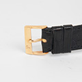 Piaget Altiplano 