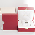 Cartier Santos Demoiselle Panthere Large Model